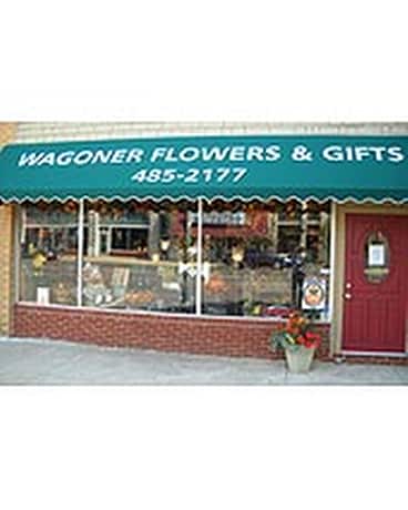View Our Store